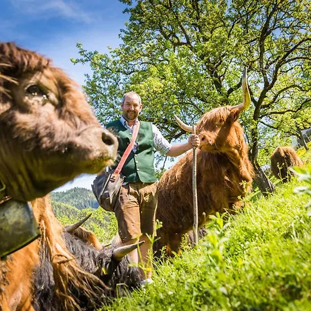 Biobauernhof Lacken Bauernhof Strohmarkt
