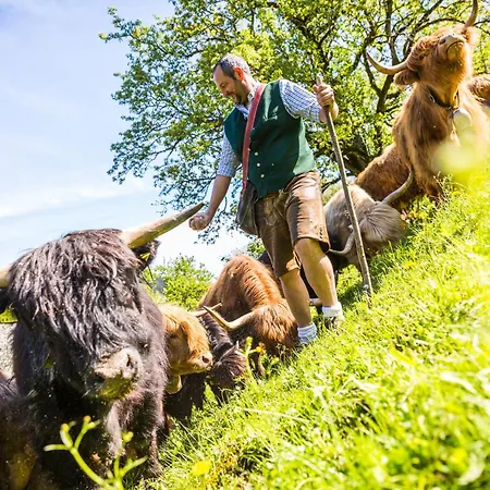 Bauernhof Biobauernhof Lacken *