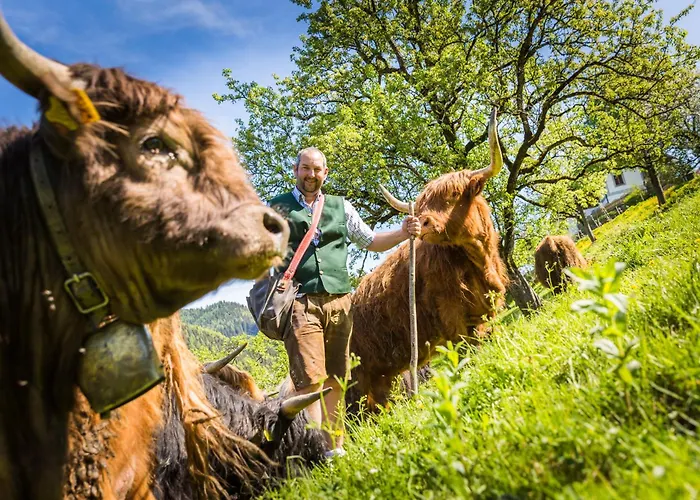 Biobauernhof Lacken Farmház Strohmarkt