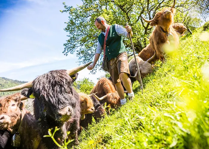 Farmház Biobauernhof Lacken *