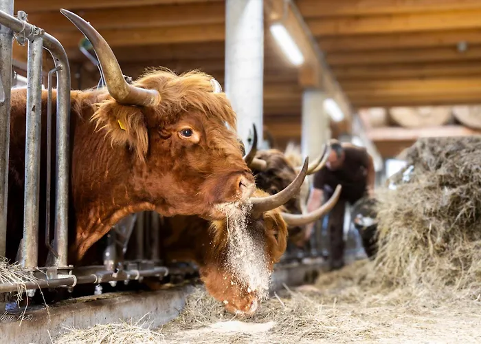 Biobauernhof Lacken Farmház *