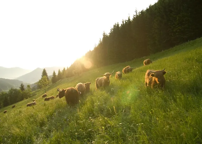 Farmház Biobauernhof Lacken Strohmarkt