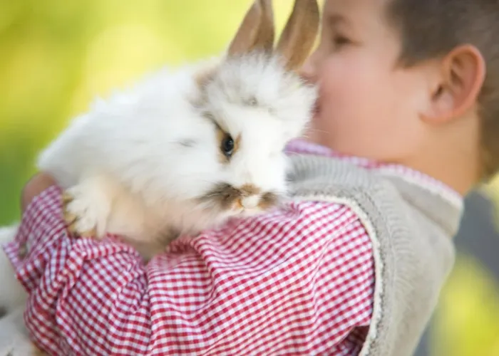 Bauernhof Biobauernhof Lacken
