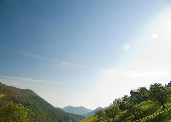 Bauernhof Biobauernhof Lacken *