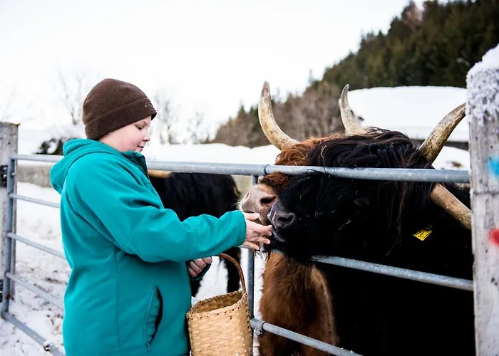 Biobauernhof Lacken *